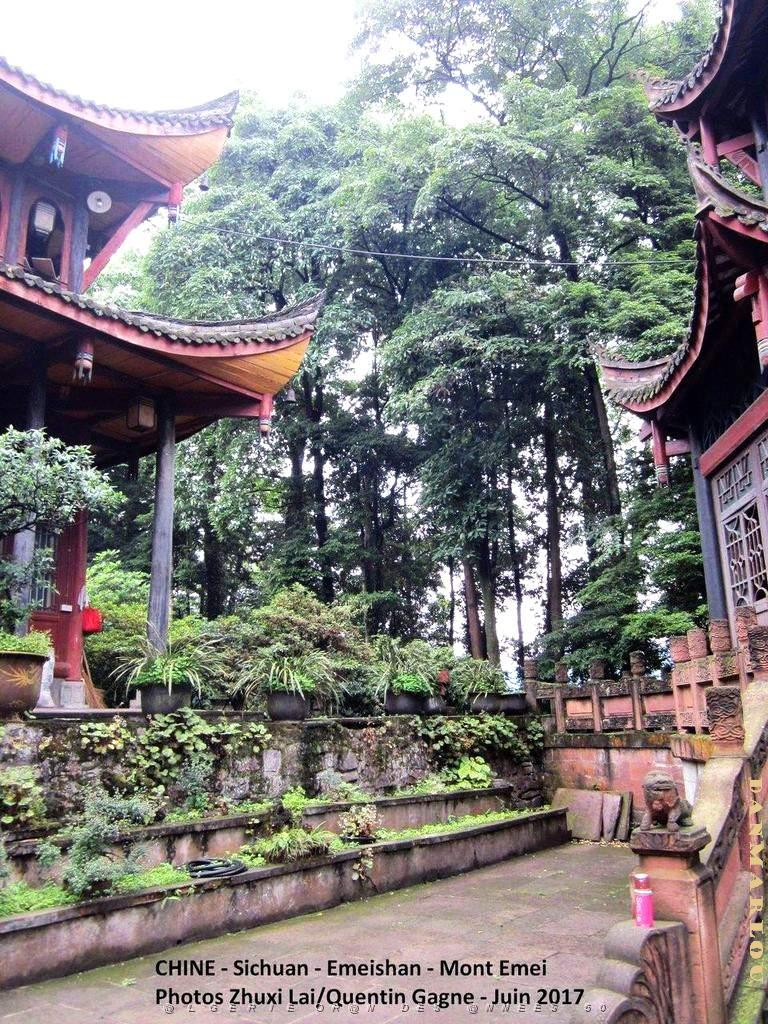Emeishan 059.JPG